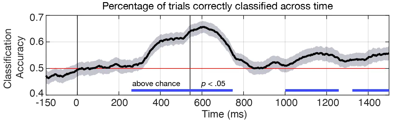 Classifier Image